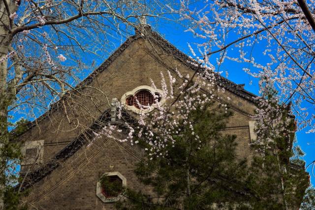 趣谈山大趵突泉校区，春风十里不如你