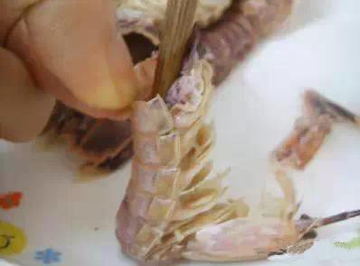 大连虾爬子几月开始吃,虾爬子几月好吃