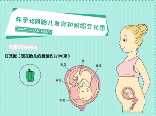 怀孕早期有这4种征兆,怀孕不到四周的症状和表现