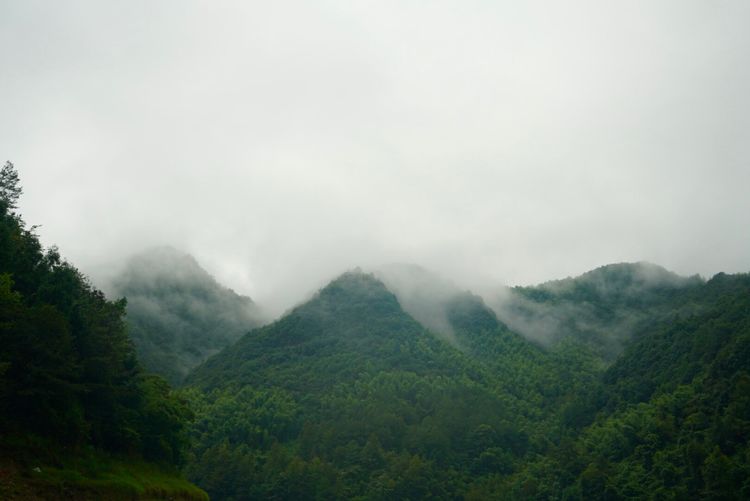 温州三八妇女节好玩的地方,温州三八节活动