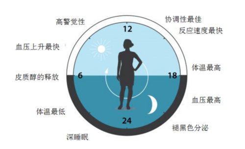 生物钟疗法原理与运用,子午流注生物钟疗法