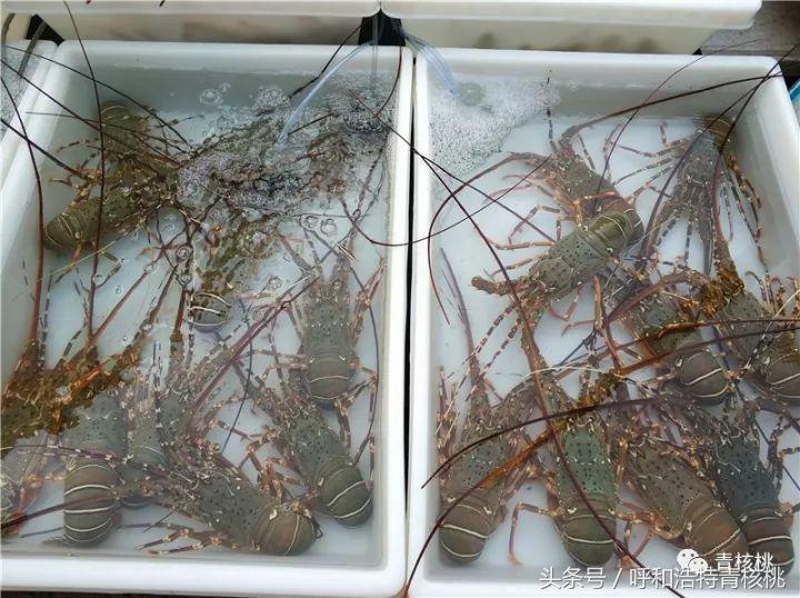 刷我滴卡泰国话,刷我滴卡泰国原版