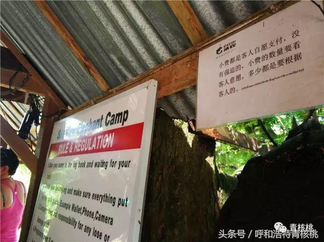 呼和浩特飞普吉岛,刷我滴卡泰国原版