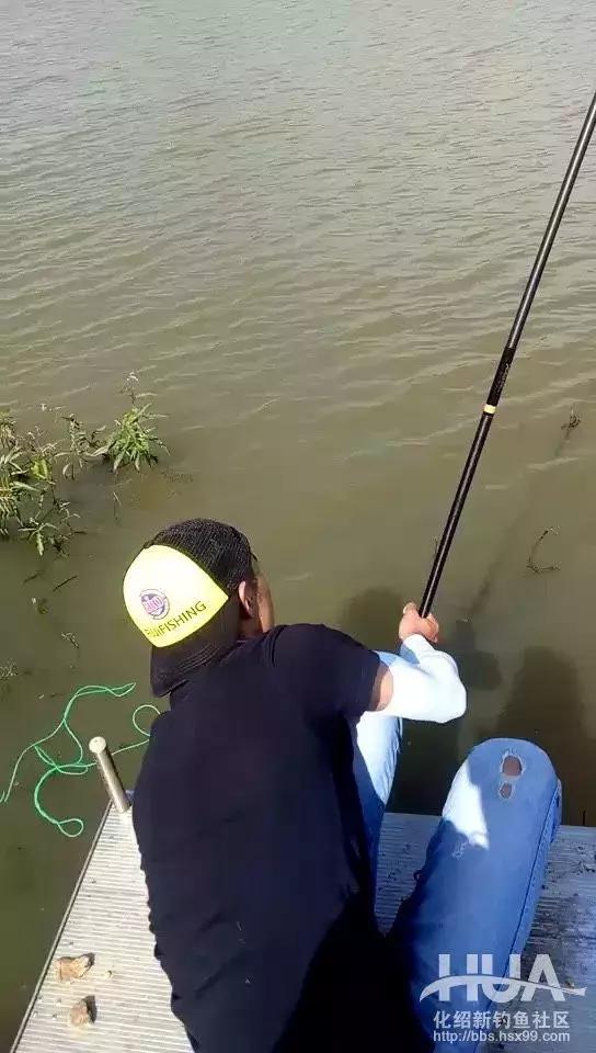 飞鲨*力暴**搞起最大32斤大青