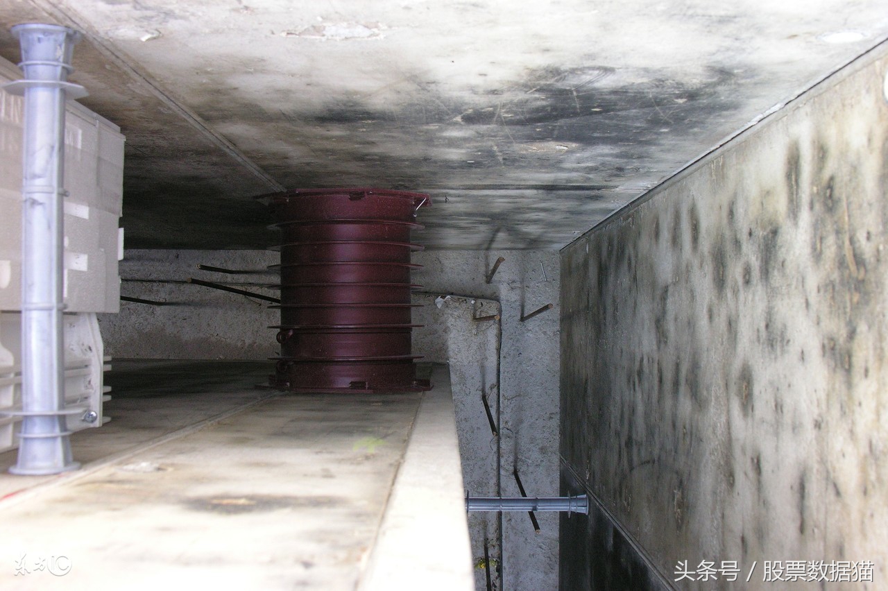 买强势股,买强势股需要什么仓位