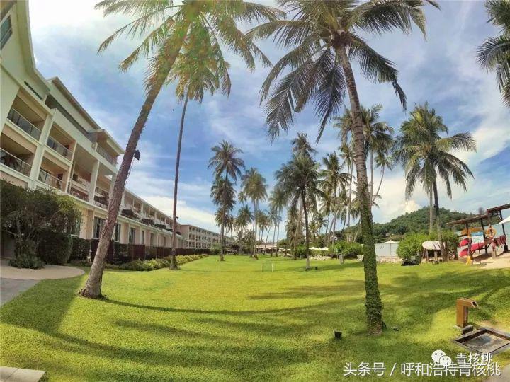 刷我滴卡泰国话,刷我滴卡泰国原版