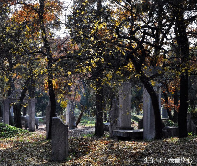 孔子的后代还可以葬入孔林吗,孔子现在的后人能葬孔林吗