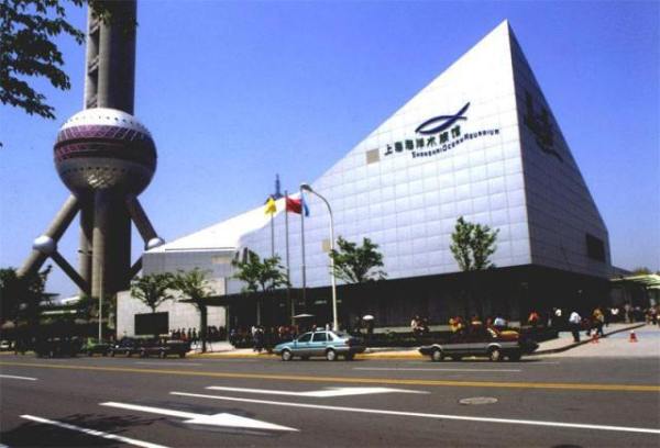 如果你来上海玩想打卡魔都,如果你要去上海我应该说什么