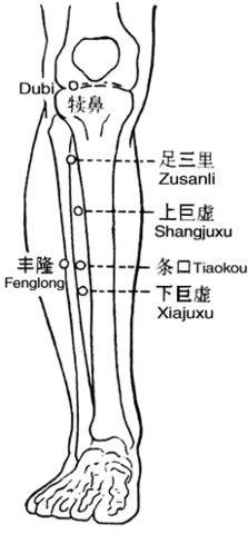 关于人体穴位图详解的书籍,人体12个最重要的穴位图片