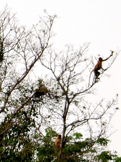 人生必需要有一次闺蜜游——沙巴五日游