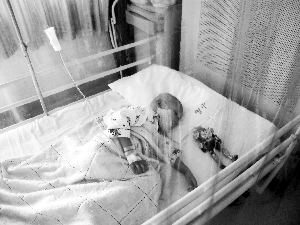 骨髓移植费用包括进仓吗,骨髓移植费用和风险