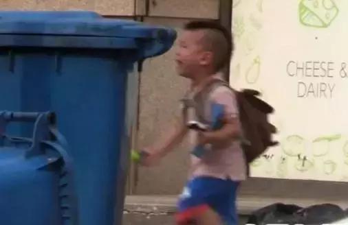 七宝哭何洁完整版,何洁照顾七宝