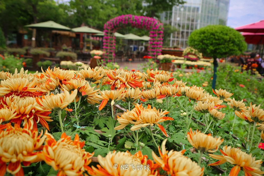 南通滨江公园亲子游,南通洲际绿博园有什么好玩的