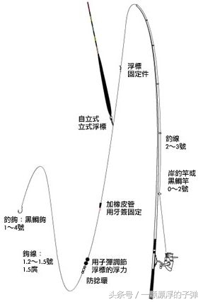 海洋矶钓鱼教学,海洋矶钓钓法