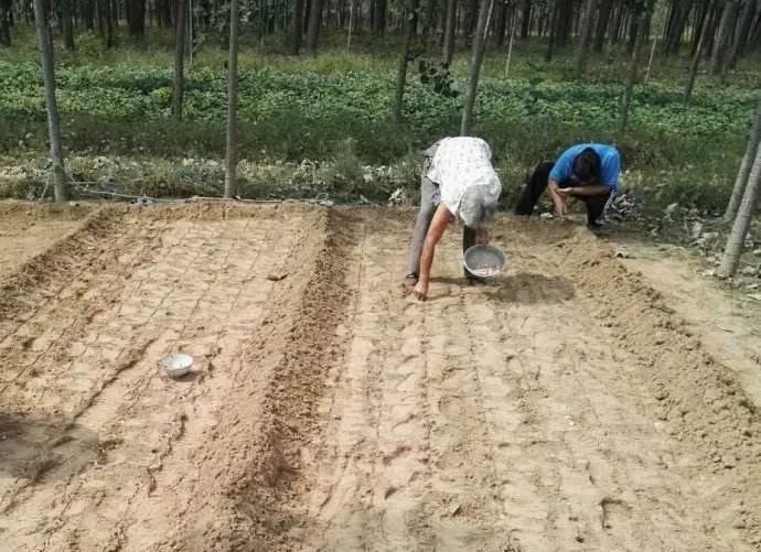 国庆旅游差评榜,国庆节旅游吐槽