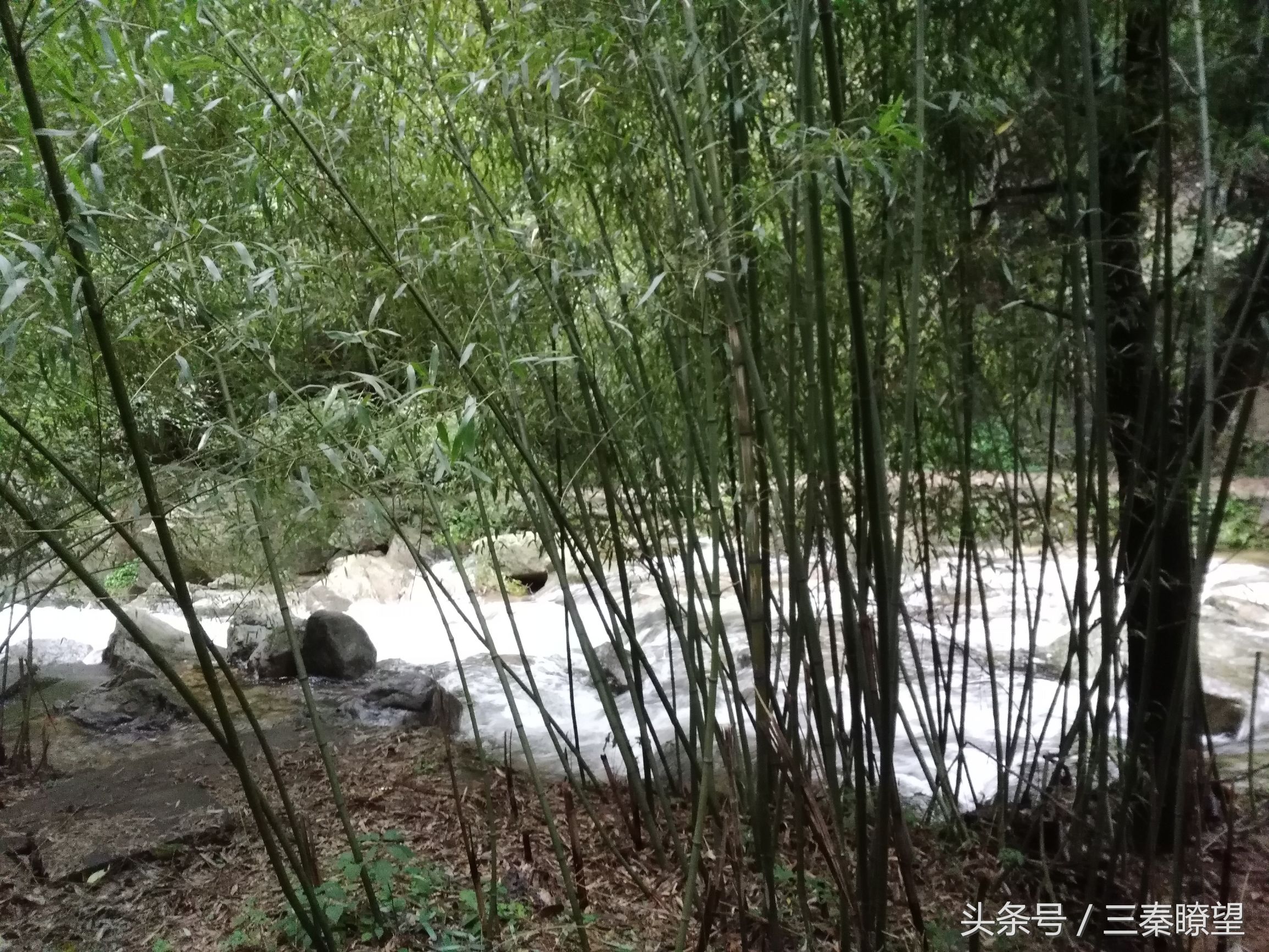 栾川养子沟风景区,新乡养子沟景区