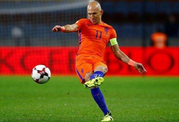 郁金香衰败前的样子,郁金香凋零荷兰队