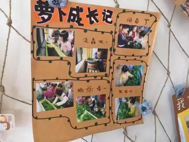 幼儿园棒棒哒图片大全,幼儿园区角参考图简单又漂亮