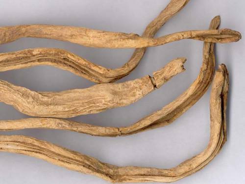 中医小方,中医小方治大病