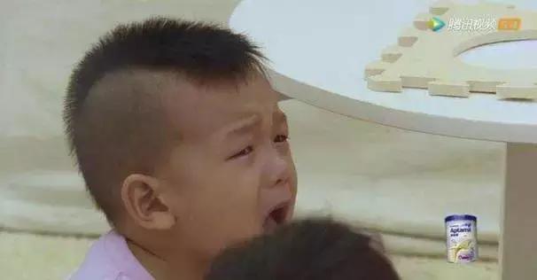 七宝哭何洁完整版,何洁照顾七宝