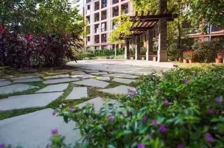 广州最美国际学校,广州最好的外国语学校