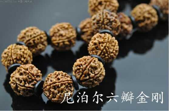 大金刚和落地红的区别在哪里,大金刚怎么辨别是不是落地红