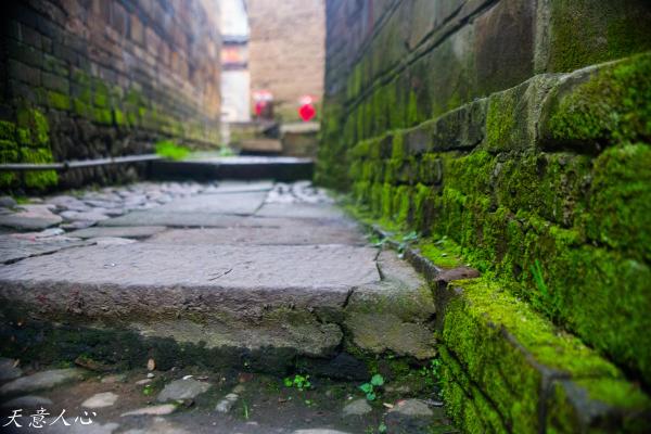 漫游武夷山之自驾游,漫游武夷记