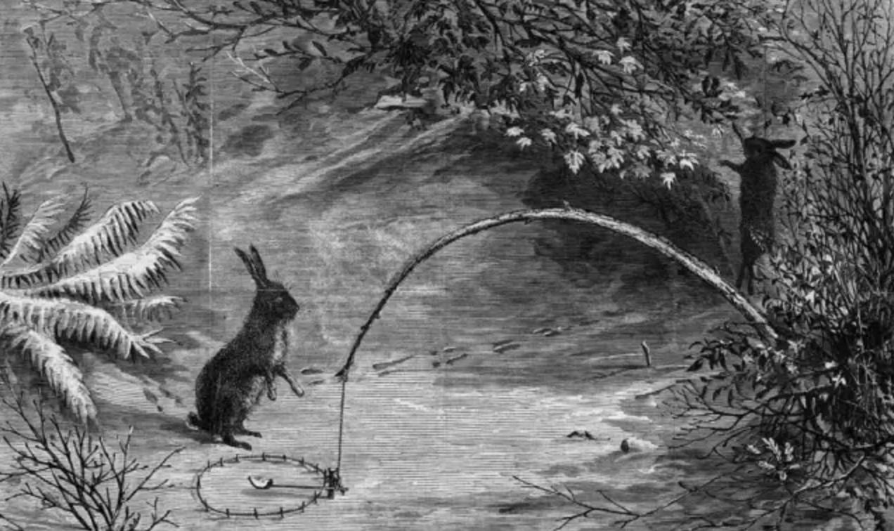 野外生存diy教你制作捕捉陷阱,野外求生陷阱简单大全