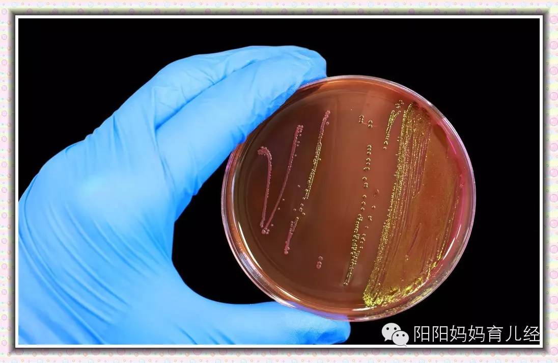 养孩子每天消毒,养孩子是干净点好还是脏点好