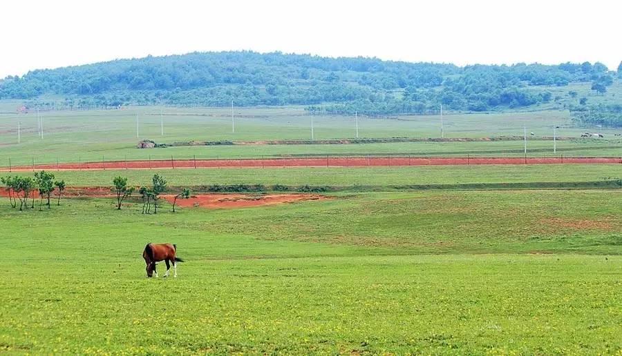 云南最值得去的八个小众秘境,昆明适合露营赏风景的地方推荐