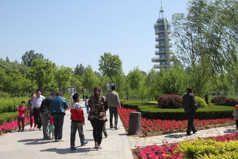 德州经济开发区减河湿地风景区,德州减河湿地景点