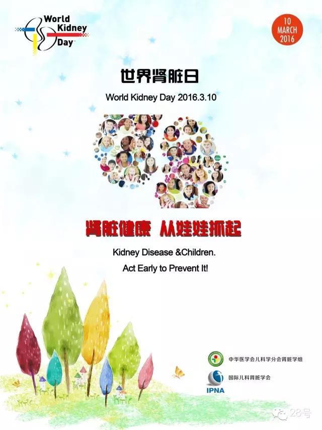 孩子慢性肾炎等待肾移植,郑大一附院肾移植全过程