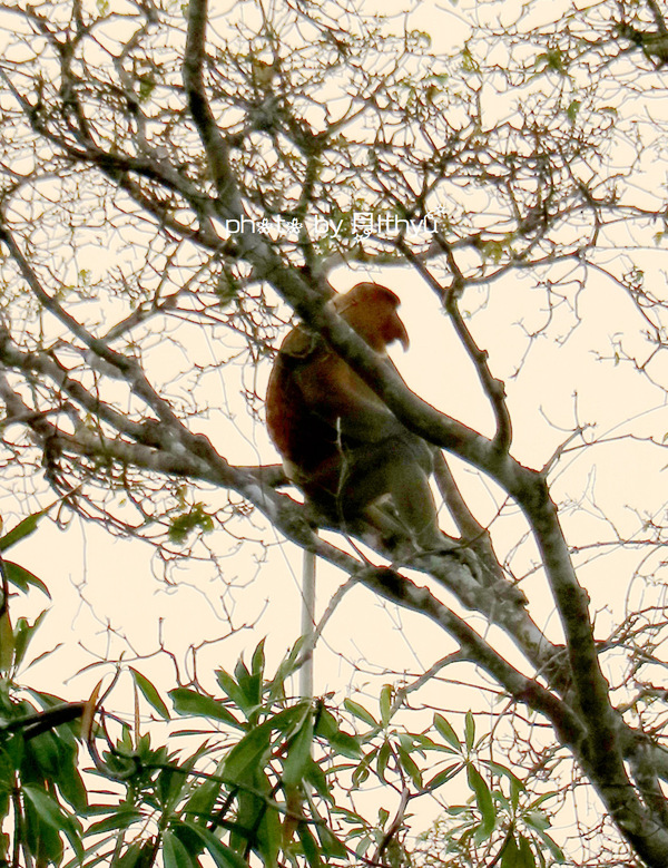 沙巴4天自由行攻略 (沙巴5天之旅)