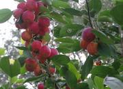 来常州旅游带什么特产,江苏常州旅游特产推荐