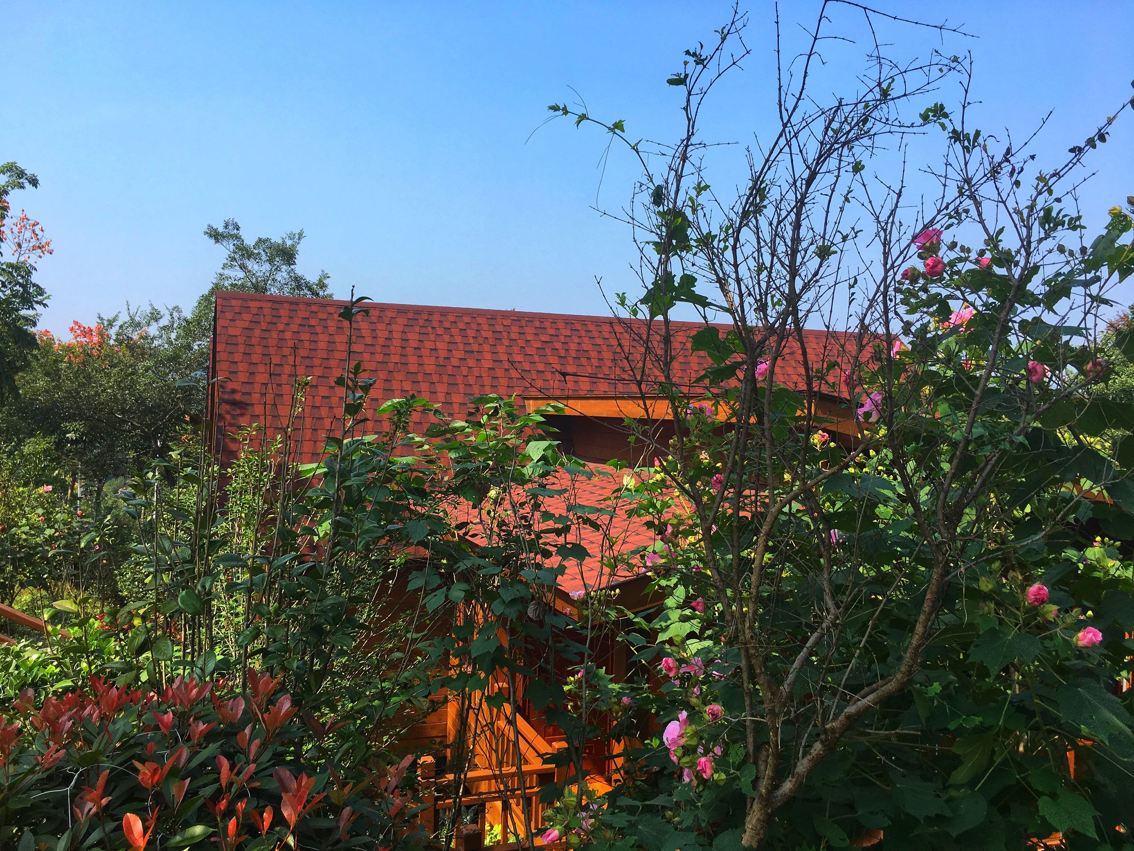 亲爱的客栈第1期开什么民宿,亲爱的客栈中卫民宿