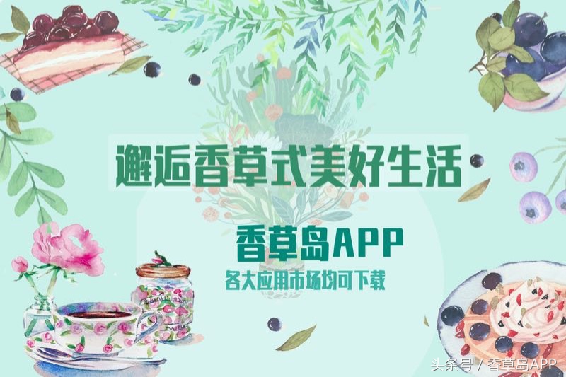 爱上管香蜂草，只因迷恋佛手柑的甜美