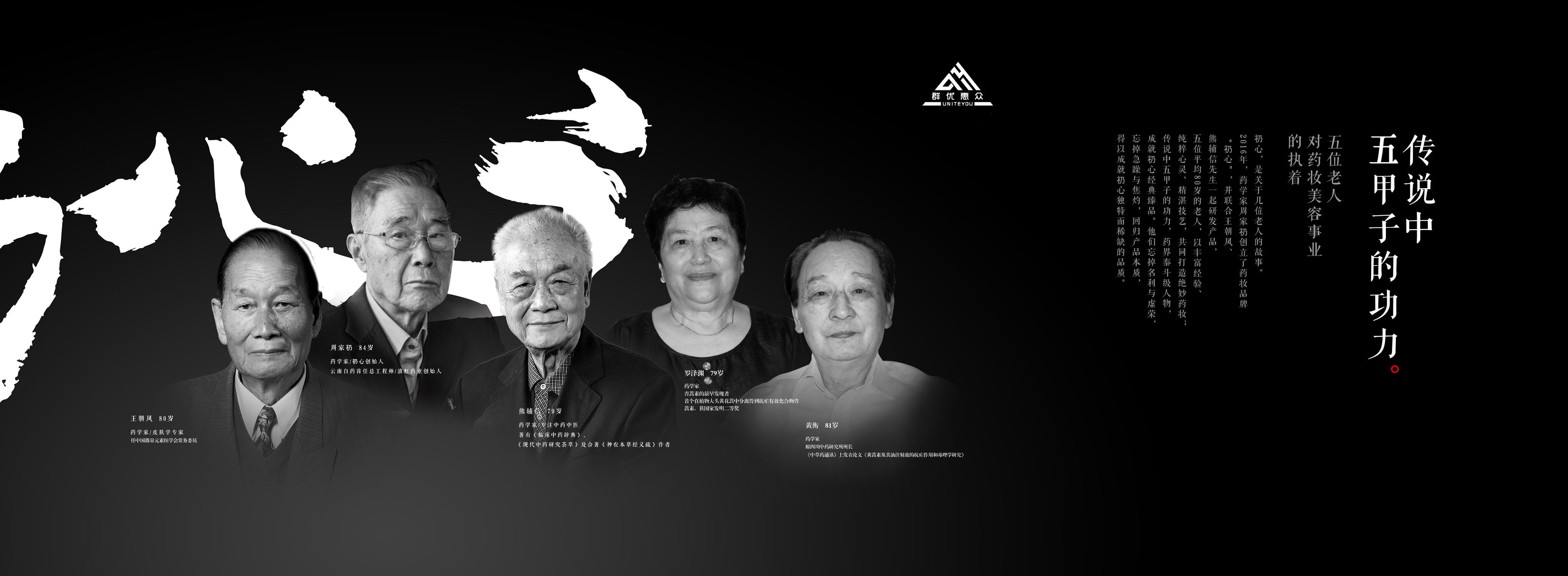 德国拜耳皮康王,皮康王拜耳