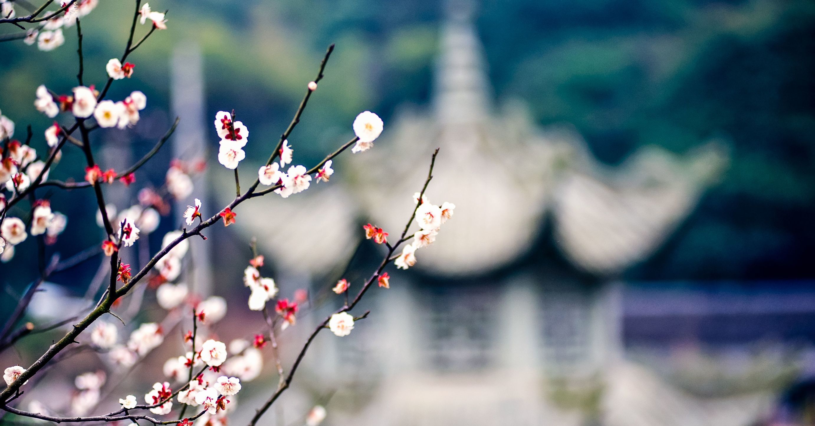 男友背着我偷偷结婚,男友背着我偷偷和别人结婚了