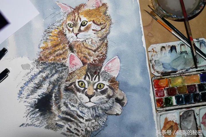 摄影技术怎么才能提高呢,简单的摄影难不难学