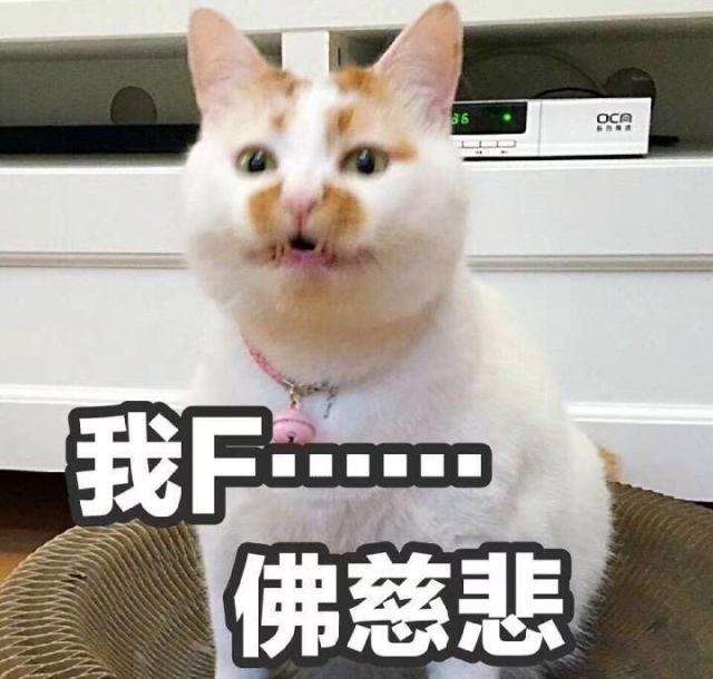 杭州某电影院推出“床厅”，又多了一个睡觉的地方