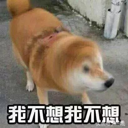 400万的鹿晗,鹿晗镜头里的关晓彤