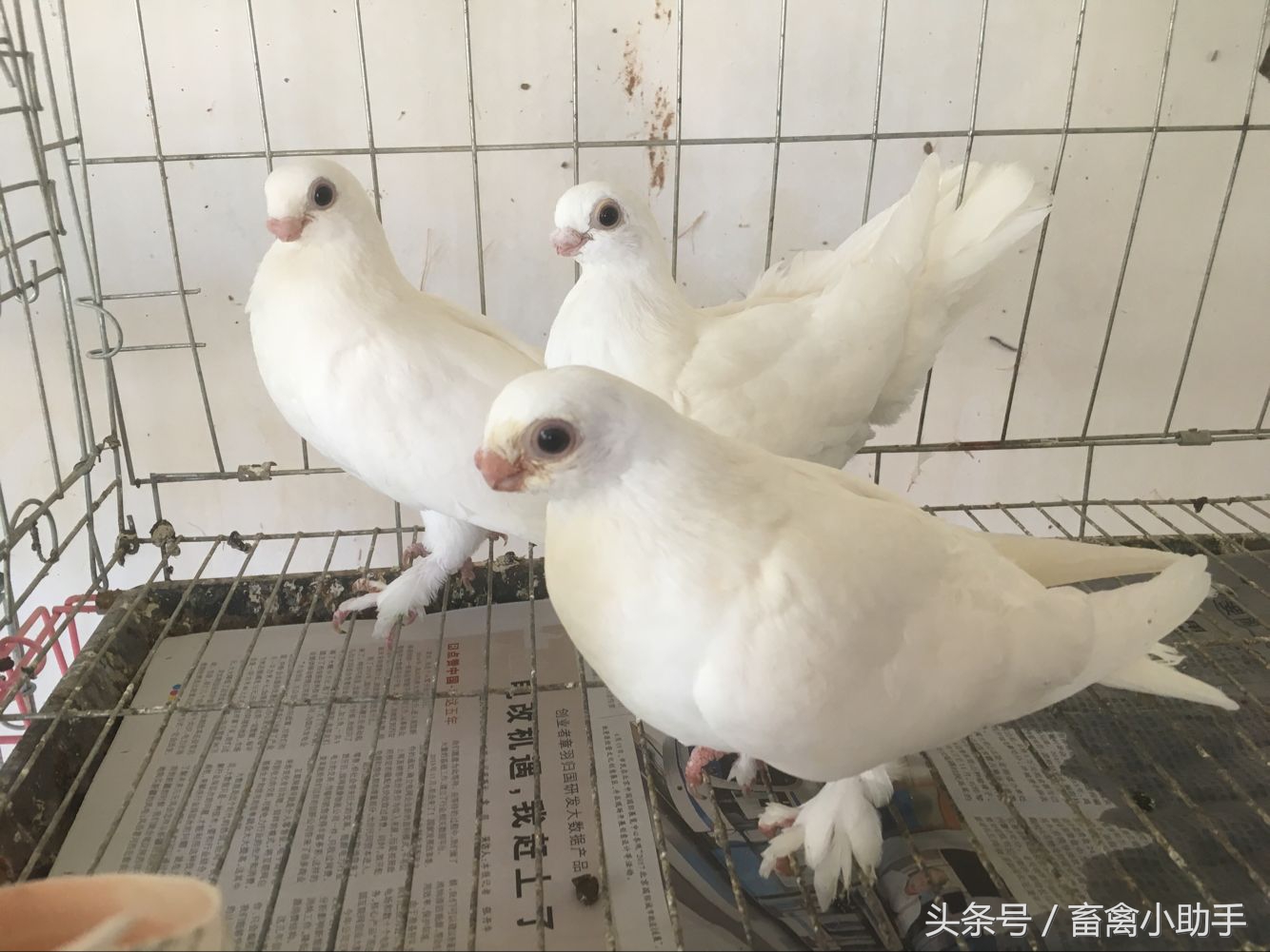 掌握这几点你就是高手,掌握这几点人生大不同