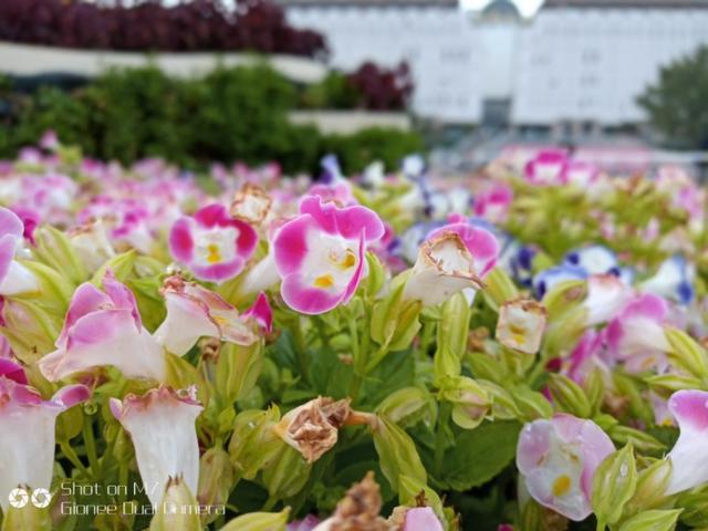 金立m7全网通,金立m7好用吗