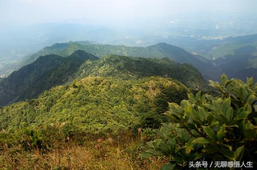 惠州市龙门县简介,广东惠州龙门县各镇地图
