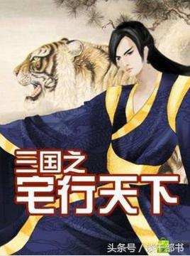 三国谋士的小说,三国以谋士为主的小说