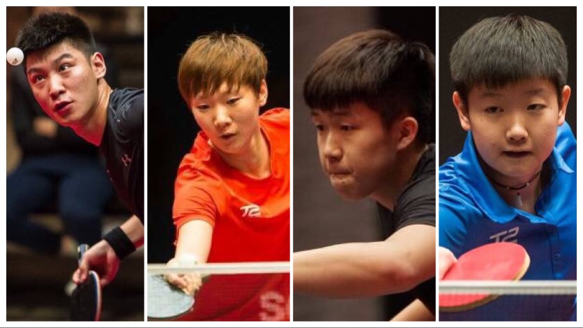 中国19岁小将横扫日本张本智和,雪耻一战完整视频