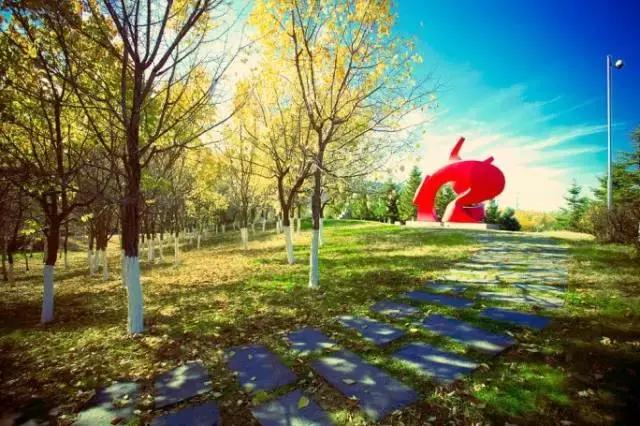 长春冬季最美拍照地,长春有一个很适合拍照的地方