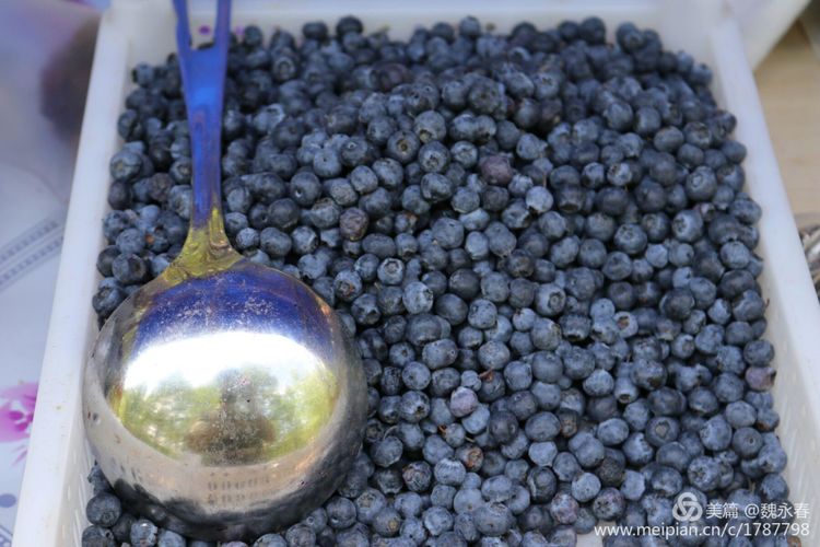 内蒙古草原旅游度假村,内蒙古敖鲁古雅景区