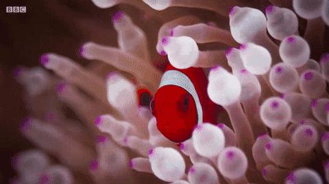 等了17年,等了你十七年