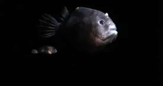 等了你十七年,等了17年